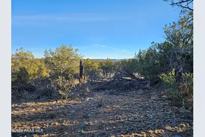 32397 W Camino Oso, Seligman, AZ 86337 - Photo 4