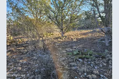 32397 W Camino Oso, Seligman, AZ 86337 - Photo 10