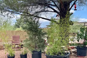 4630 E Kerry Dr, Rimrock, AZ 86335 - Photo 36