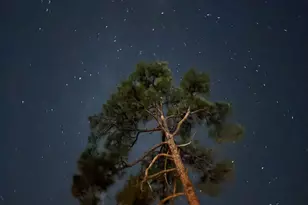 1323 Westridge Dr, Prescott, AZ 86305 - Photo 60