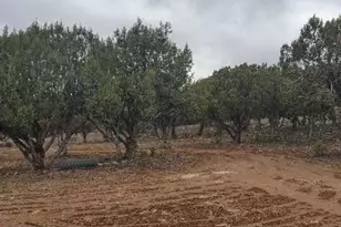 16432 Incline Trail Lot 10A Trail, Williams, AZ 86046 - Photo 10