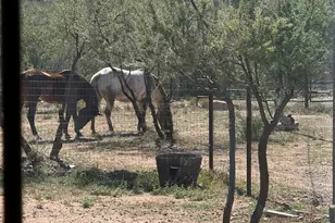 4800 W Longhorn Trail, Kirkland, AZ 86332 - Photo 32