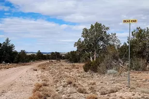 36875 W Aventura Nueva Rd, Seligman, AZ 86337 - Photo 22