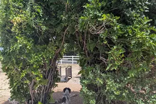 2990 Harrison Dr, Chino Valley, AZ 86323 - Photo 26