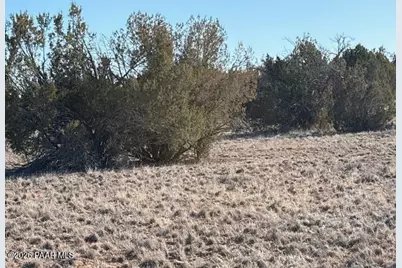 27275 Punta Lane, Seligman, AZ 86337 - Photo 6