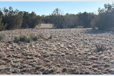 27275 Punta Lane, Seligman, AZ 86337 - Photo 12