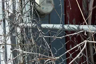 16614 W Shrine Dr, Yarnell, AZ 85362 - Photo 10