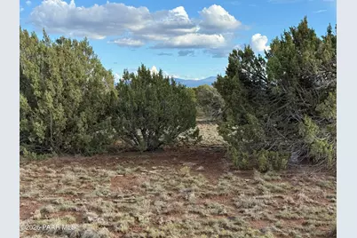 44 County Road 8097, Concho, AZ 85924 - Photo 6