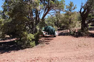 200 Cathedral Valley, Ash Fork, AZ 86320 - Photo 20