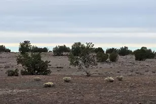 214D Juniper Woods, Ash Fork, AZ 86320 - Photo 1