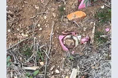 317 E Ahonen Road, Paulden, AZ 86334 - Photo 14