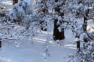 1677 Coyote Rd, Prescott, AZ 86303 - Photo 18