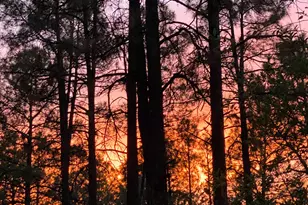 1677 Coyote Rd, Prescott, AZ 86303 - Photo 20