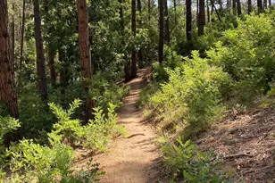 1677 Coyote Rd, Prescott, AZ 86303 - Photo 24