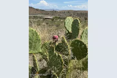12311 S Caballo, Mayer, AZ 86333 - Photo 4