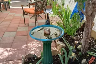 850 S State Route 69, Dewey-Humboldt, AZ 86327 - Photo 34