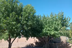 5614 N Ardmore Ave, Prescott Valley, AZ 86314 - Photo 28