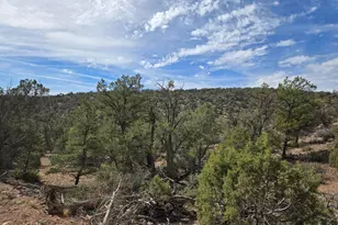 38125 N Snake Rd, Ash Fork, AZ 86320 - Photo 24