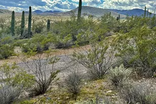 Xx00 W Grand Ave, Morristown, AZ 85342 - Photo 1