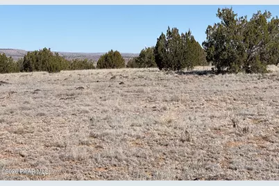 522 N Deer Camp Trail, Seligman, AZ 86337 - Photo 4