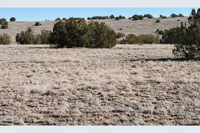 522 N Deer Camp Trail, Seligman, AZ 86337 - Photo 2