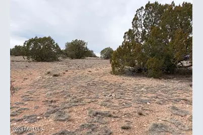 389 Rocky Top Road, Seligman, AZ 86337 - Photo 12