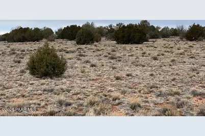 389 Rocky Top Road, Seligman, AZ 86337 - Photo 8