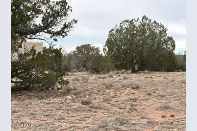 389 Rocky Top Road, Seligman, AZ 86337 - Photo 1