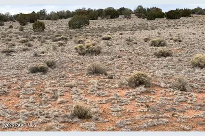 389 Rocky Top Road, Seligman, AZ 86337 - Photo 6