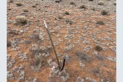 389 Rocky Top Road, Seligman, AZ 86337 - Photo 2