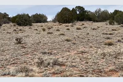 389 Rocky Top Road, Seligman, AZ 86337 - Photo 10