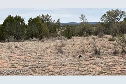 389 Rocky Top Road, Seligman, AZ 86337 - Photo 16