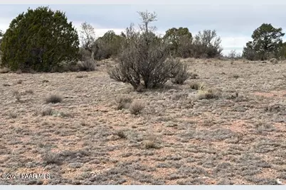 389 Rocky Top Road, Seligman, AZ 86337 - Photo 14