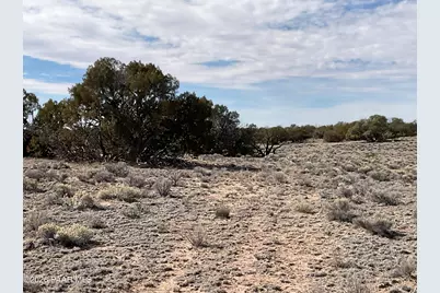 Tbd N7102, Saint Johns, AZ 85936 - Photo 6