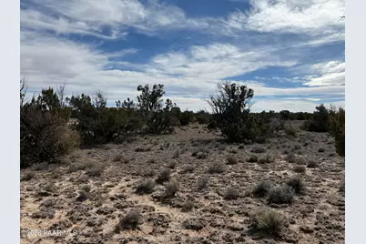 Tbd N7102, Saint Johns, AZ 85936 - Photo 4