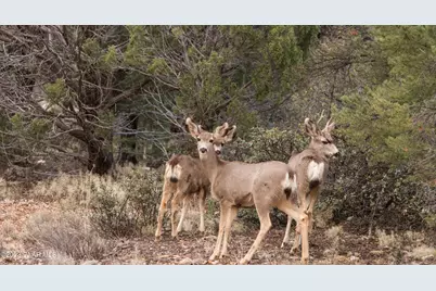 00 S Bandit Ridge, Prescott, AZ 86305 - Photo 18