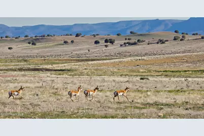 395 Bandit Ridge Road, Prescott, AZ 86305 - Photo 20