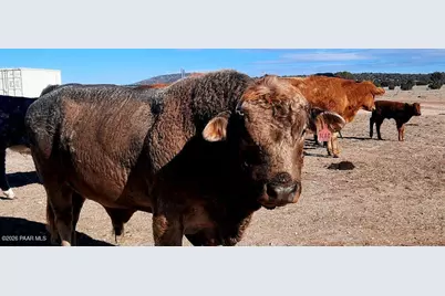 N/A N/A, Seligman, AZ 86337 - Photo 18