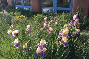 1327 E Granite Creek Ln, Chino Valley, AZ 86323 - Photo 6