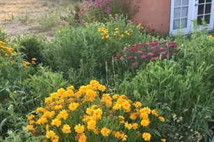 1327 E Granite Creek Ln, Chino Valley, AZ 86323 - Photo 38