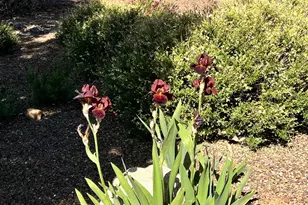 7550 E Trader's Trail, Prescott Valley, AZ 86314 - Photo 28