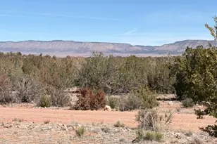 58102 Bridge Canyon Rd, Seligman, AZ 86337 - Photo 1