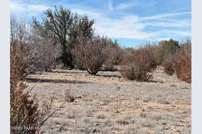 58102 Bridge Canyon Road, Seligman, AZ 86337 - Photo 8