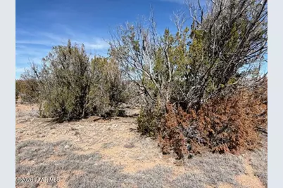 58102 Bridge Canyon Road, Seligman, AZ 86337 - Photo 12