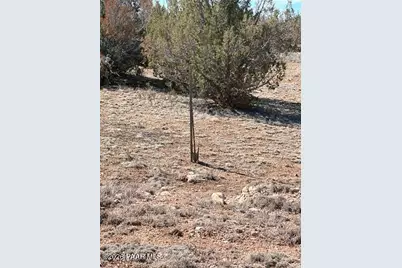 58102 Bridge Canyon Road, Seligman, AZ 86337 - Photo 14