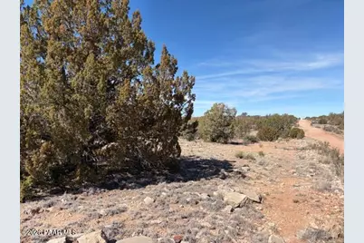 58102 Bridge Canyon Road, Seligman, AZ 86337 - Photo 4