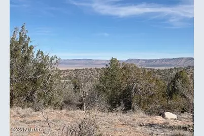 55991 N Bridge Canyon Parkway, Seligman, AZ 86337 - Photo 1