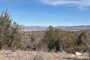 55991 N Bridge Canyon Pkwy, Seligman, AZ 86337 - Photo 1