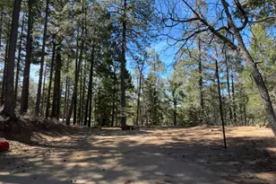 8851 S Hassayampa Circle, Prescott, AZ 86303 - Photo 6