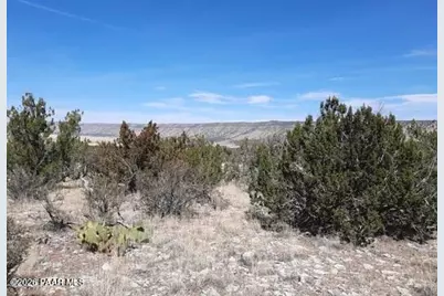 29118 W Stagecoach Lane, Seligman, AZ 86337 - Photo 4
